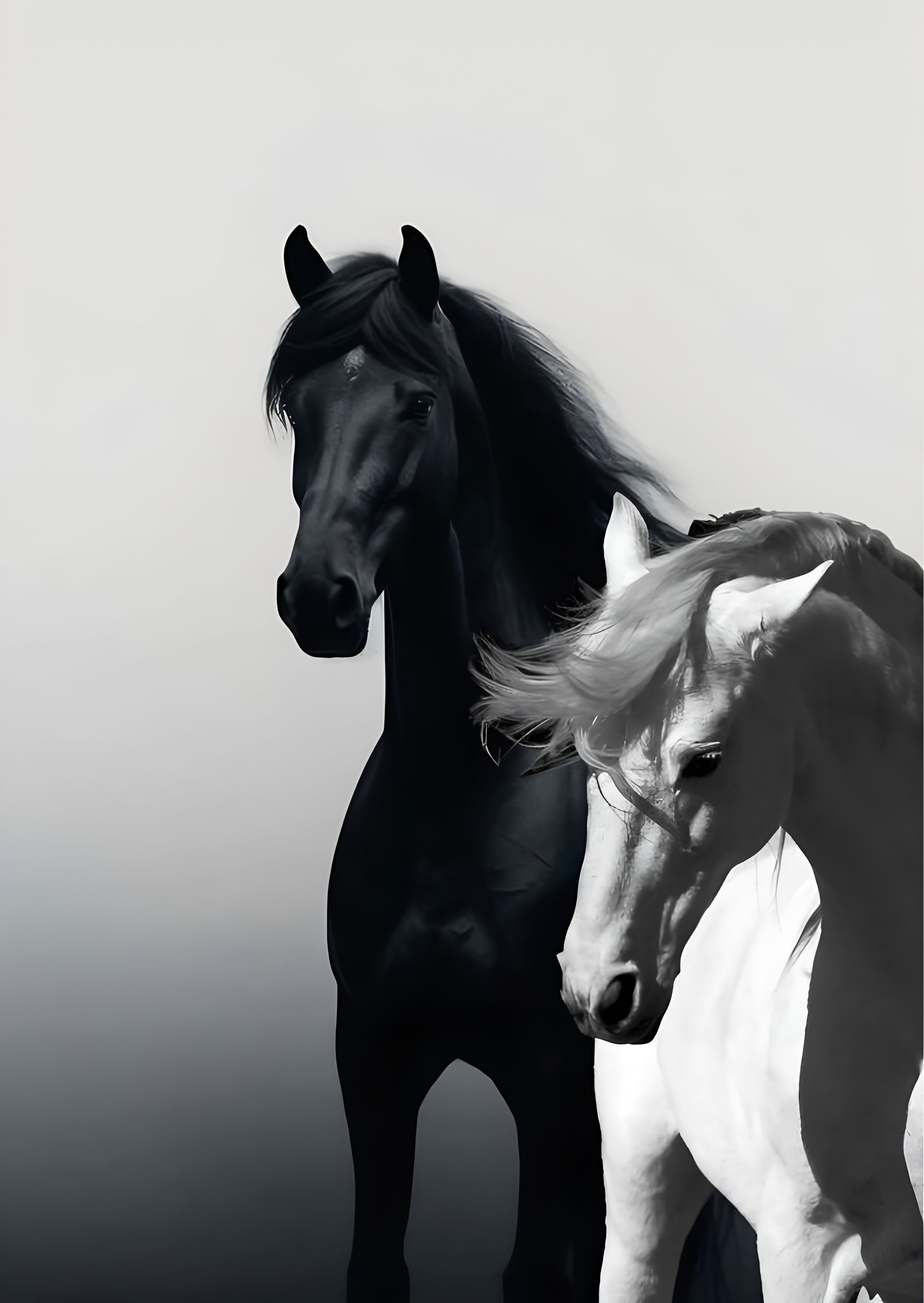 Equine Majesty: The Monochrome Spirit Collection