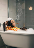 The Bachelor's Bath