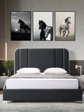 Equine Majesty: The Monochrome Spirit Collection